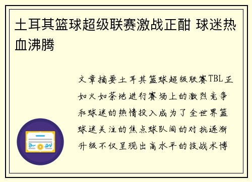 土耳其篮球超级联赛激战正酣 球迷热血沸腾
