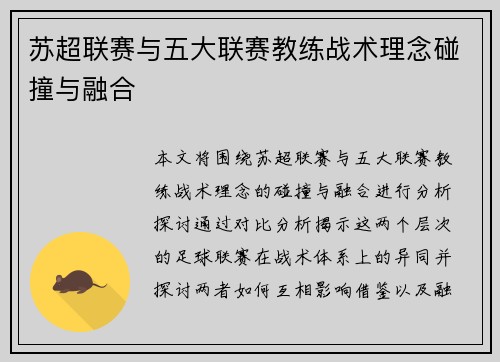 苏超联赛与五大联赛教练战术理念碰撞与融合